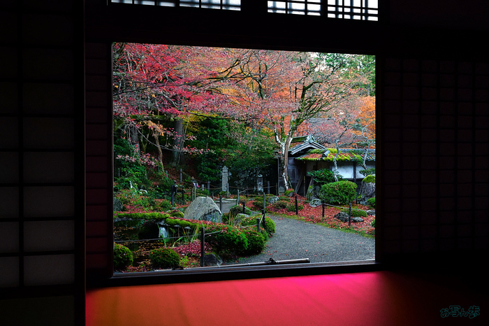 SDIM8329,35 mm,F10,iso3200_1-40 秒(JPEG).jpg