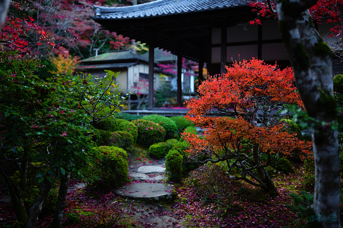 SDIM8386,35 mm,F1.2,iso100_1-80 秒(JPEG).jpg