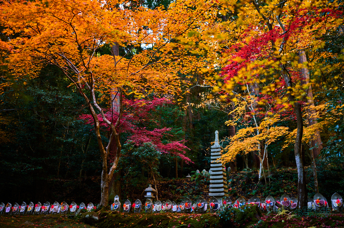 SDIM8471co,35 mm,F1.2,iso100(DNG)_1.jpg