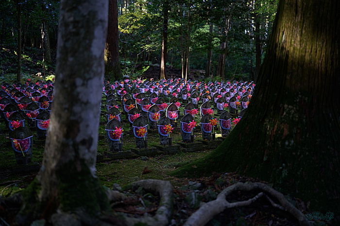 SDIM8784,35 mm,F1.2,iso100_1-40 秒(DNG).jpg