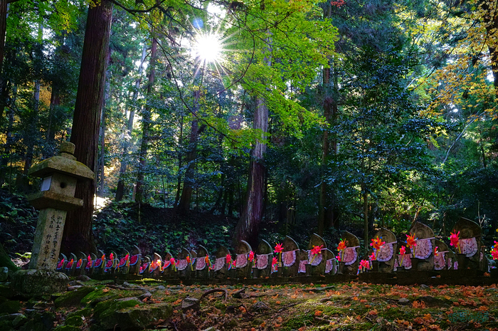 SDIM8793,35 mm,F16,iso6400_1-30 秒(JPEG).jpg