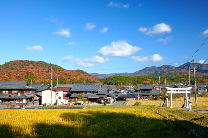 SDIM8947,35 mm,F9,1-40 秒,iso100(JPEG) 1.jpg