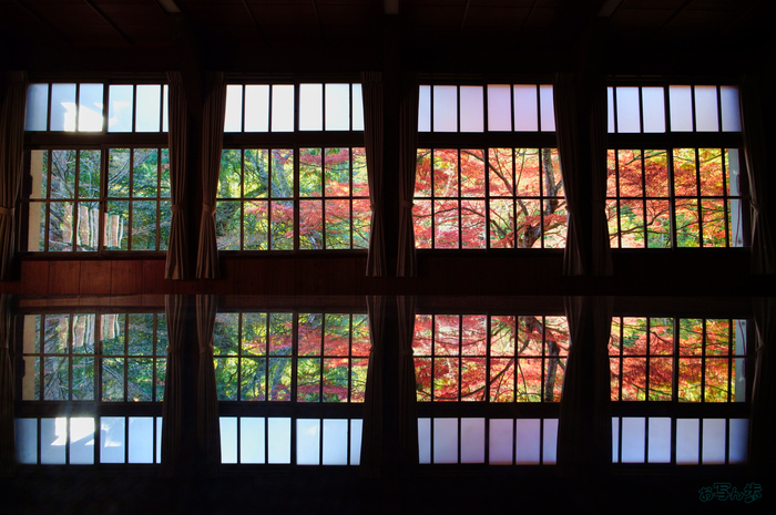 SDIM8984,20 mm,F10,1-20 秒,iso2000(JPEG).jpg