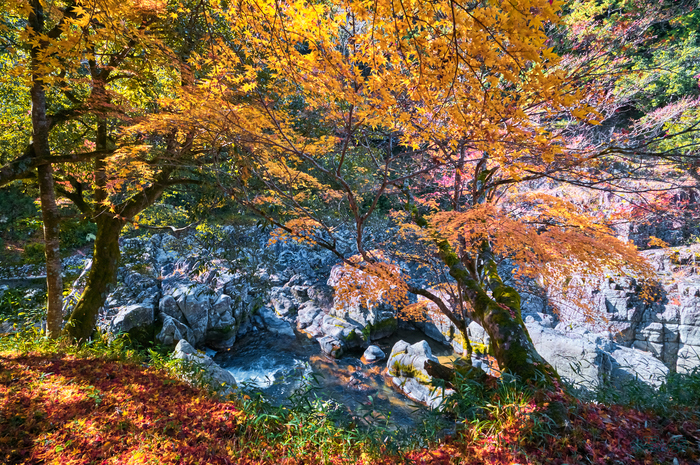 SDIM8994,20 mm,F13,1-20 秒,iso1000(DNG).jpg