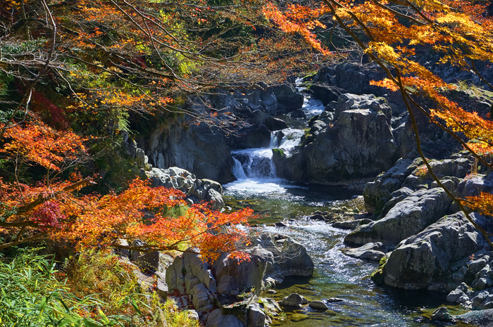 SDIM9006,94 mm,F11,1-100 秒,iso640(DNG).jpg