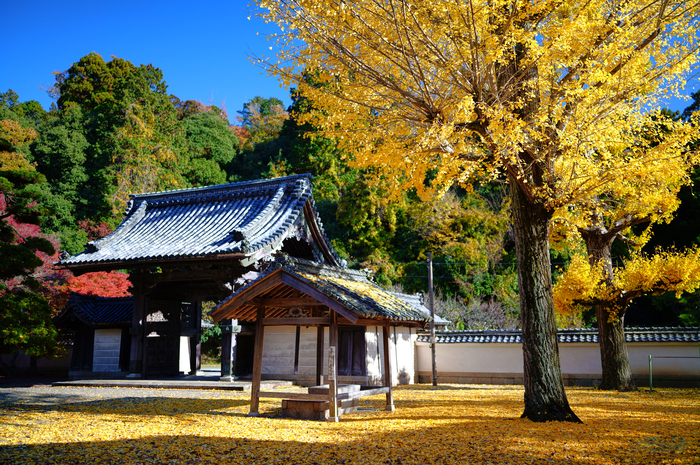 SDIM9067,35 mm,F1.2,1-800 秒,iso100(JPEG).jpg