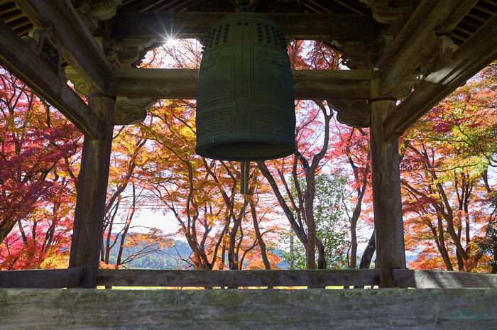 SDIM9074,35 mm,F4,1-60 秒,iso100(DNG) 1.jpg