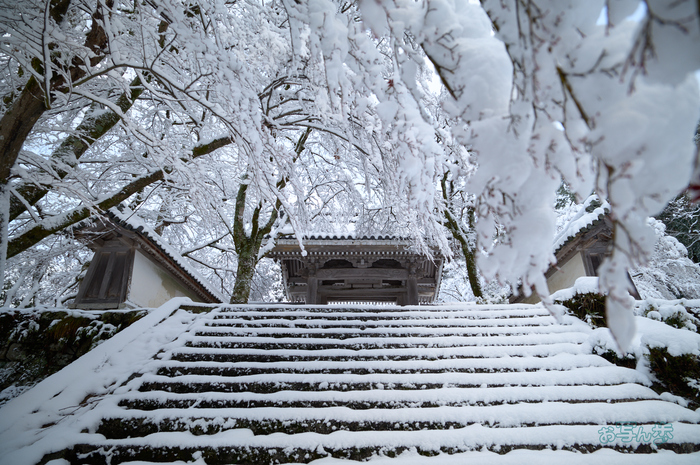 SDIM9318co,20 mm,F4.6,iso100(DNG).jpg