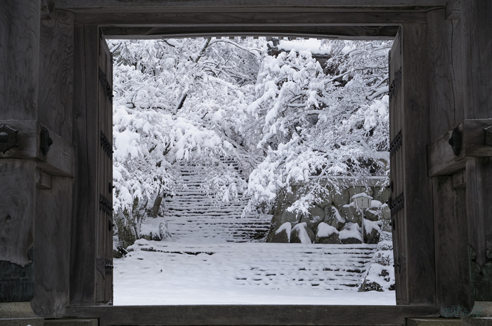 SDIM9331,77 mm,F10,iso800_1-80 秒(DNG).jpg