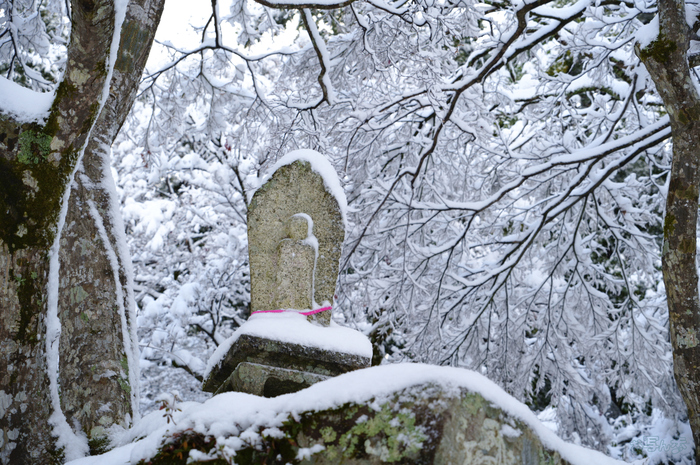 SDIM9378,61 mm,F5.5,iso400_1-60 秒(JPEG).jpg