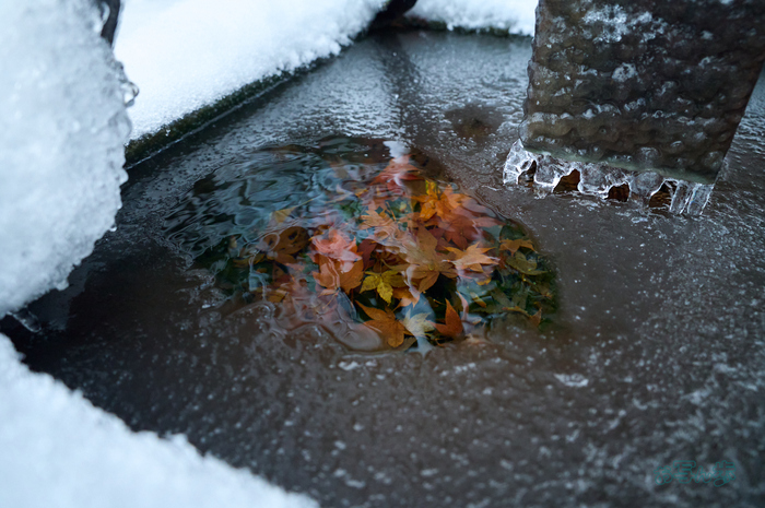 SDIM9415co,24 mm,F3.9,iso6400(DNG).jpg