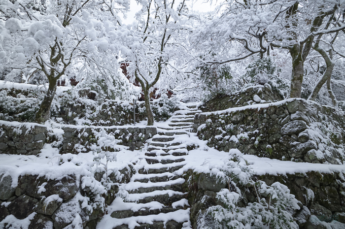 SDIM9424,20 mm,F10,iso400_1-20 秒(DNG).jpg