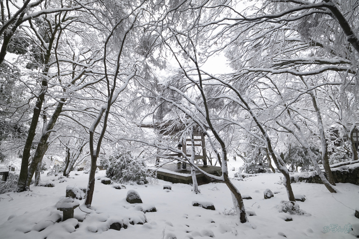 SDIM9457,20 mm,F14,iso640_1-20 秒(DNG).jpg