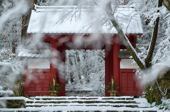 SDIM9544co,135 mm,F1.4,iso100(DNG).jpg