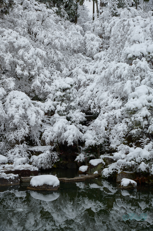 SDIM9703co,54 mm,F10,iso250(DNG).jpg