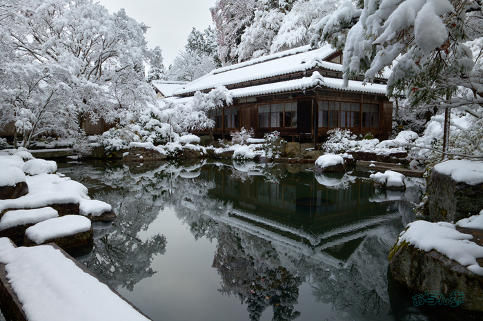 SDIM9742co,25 mm,F11,iso200(DNG).jpg