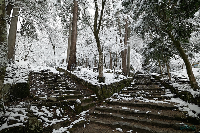 SDIM9799,20 mm,F11,iso400_1-20 秒(DNG).jpg