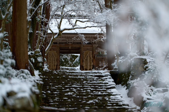 SDIM9814co,135 mm,F1.4,iso100(DNG).jpg