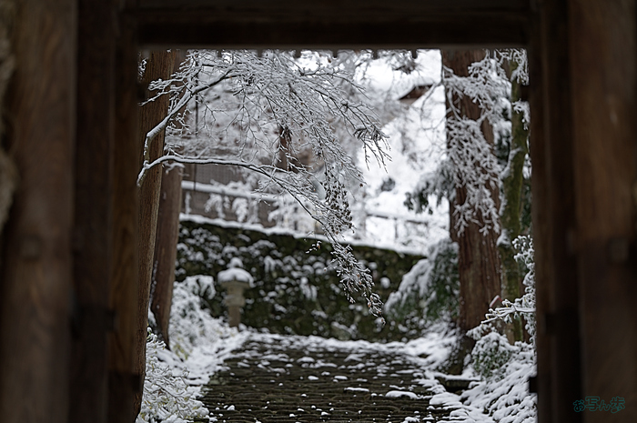 SDIM9844,135 mm,F1.4,iso100_1-1000 秒(DNG).jpg