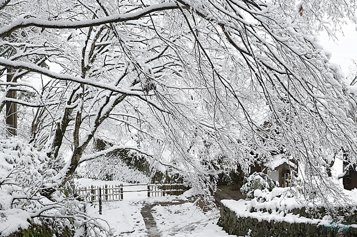 SDIM9948,48 mm,F11,iso400_1-50 秒(DNG).jpg