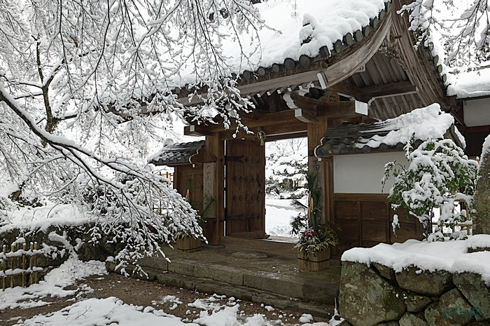 SDIM9949,32 mm,F11,iso320_1-30 秒(DNG).jpg