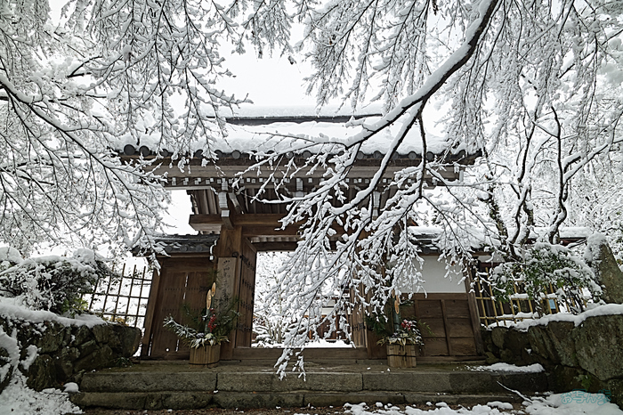 SDIM9952,20 mm,F11,iso200_1-20 秒(DNG).jpg