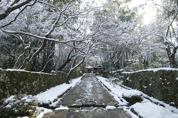 SDIM9972,20 mm,F22,iso1250_1-20 秒(DNG).jpg