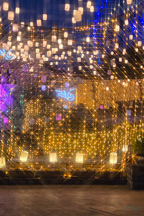 20260214_175911,5 mm,F1.8,iso100_1-60 秒(JPEG).jpg