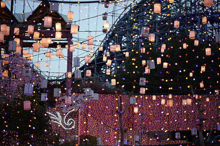 P1001329,100 mm,F2.8,iso200_1-125 秒(JPEG).jpg