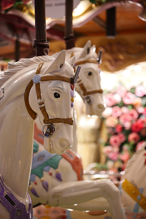 P1001364,100 mm,F2.8,iso4000_1-125 秒(JPEG).jpg