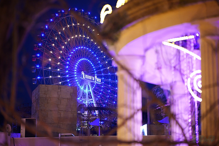 P1001382,100 mm,F2.8,iso6400_1-80 秒(JPEG).jpg