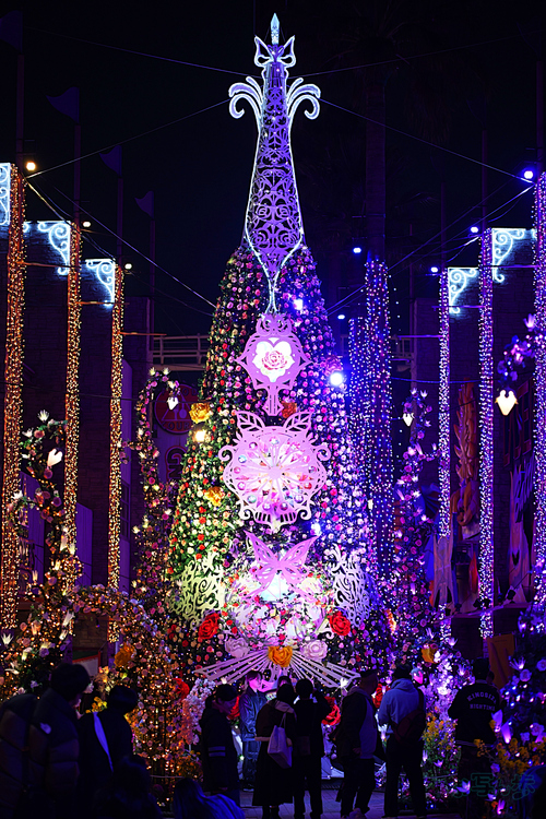 P1001425,100 mm,F2.8,iso1000_1-125 秒(JPEG).jpg