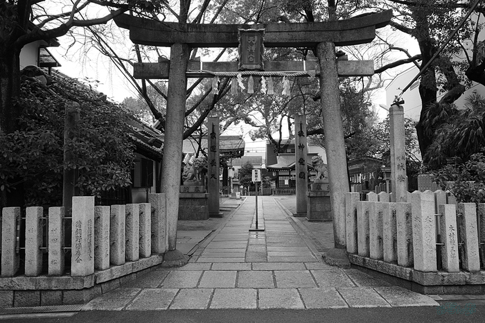 R0000239,18 mm,F7.1,iso320_1-100 秒(JPEG).jpg