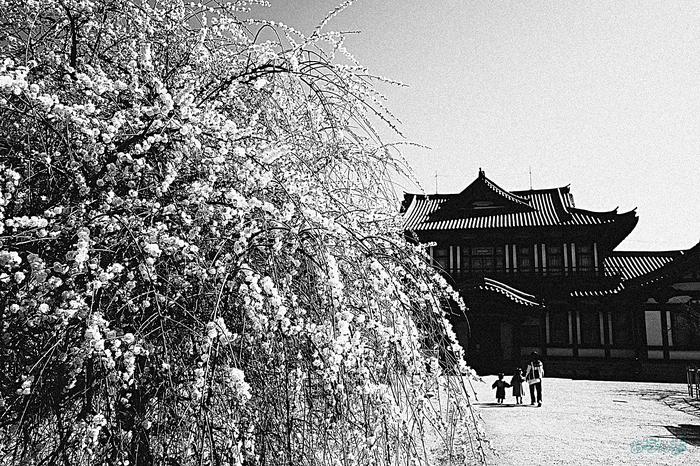 R0000513,18 mm,F4,iso160_1-250 秒(JPEG).jpg