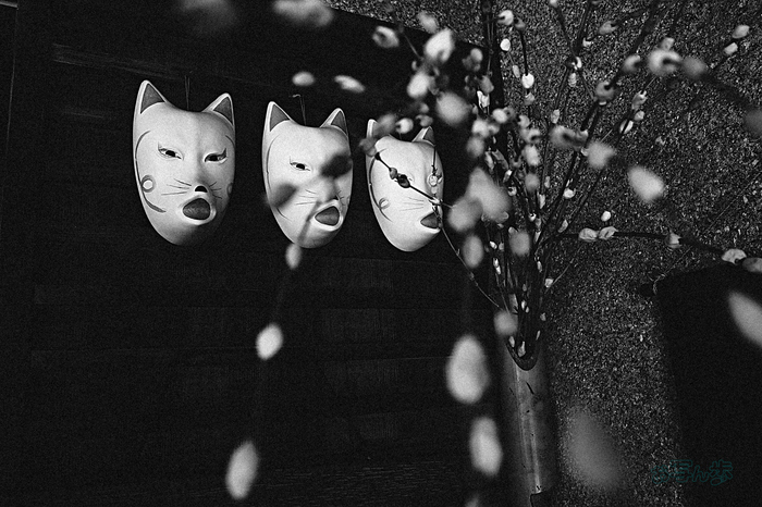 R0000595co,18 mm,F2.8,iso500(JPEG).jpg