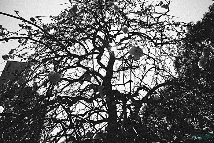 R0000606,18 mm,F16,iso320_1-40 秒(JPEG).jpg