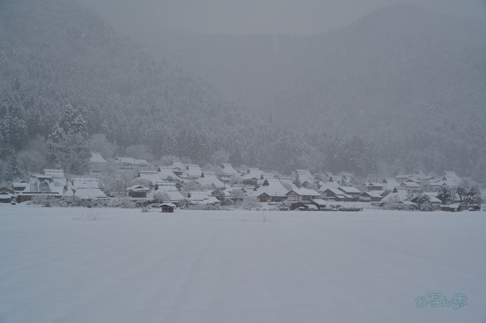 SDIM2780co,46 mm,F9,iso100(DNG)_1.jpg