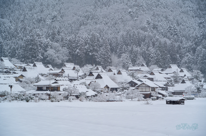 SDIM2818co,102 mm,F9,iso160(DNG).jpg