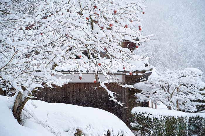 SDIM2846co,90 mm,F6.1,iso800(DNG).jpg