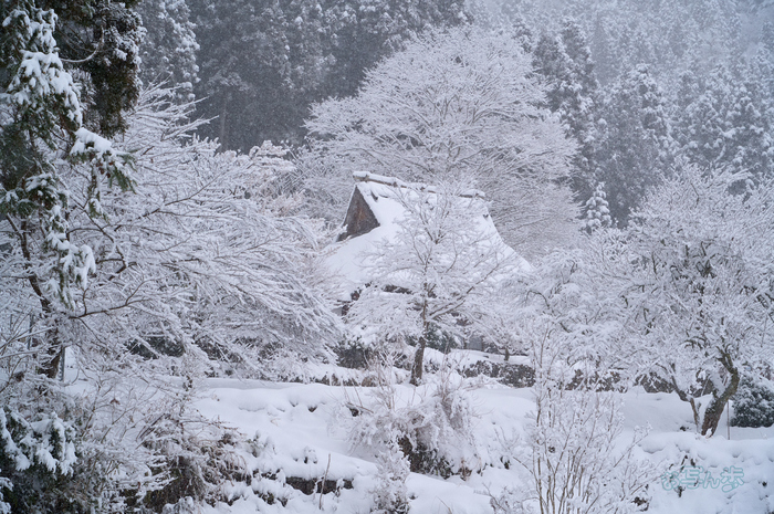 SDIM2924co,73 mm,F9,iso1600(DNG).jpg