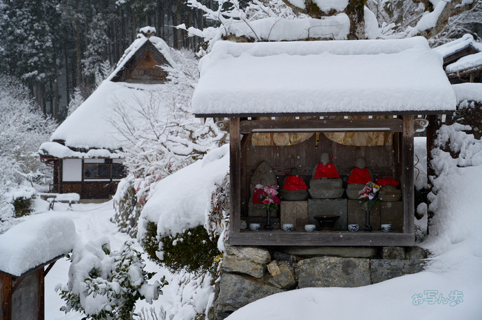 SDIM2966co,52 mm,F5.3,iso800(DNG).jpg