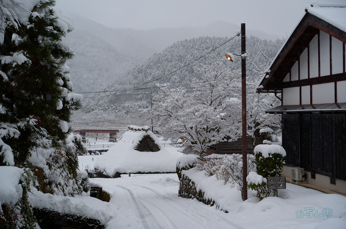 SDIM3070co,59 mm,F5.5,iso100(DNG).jpg