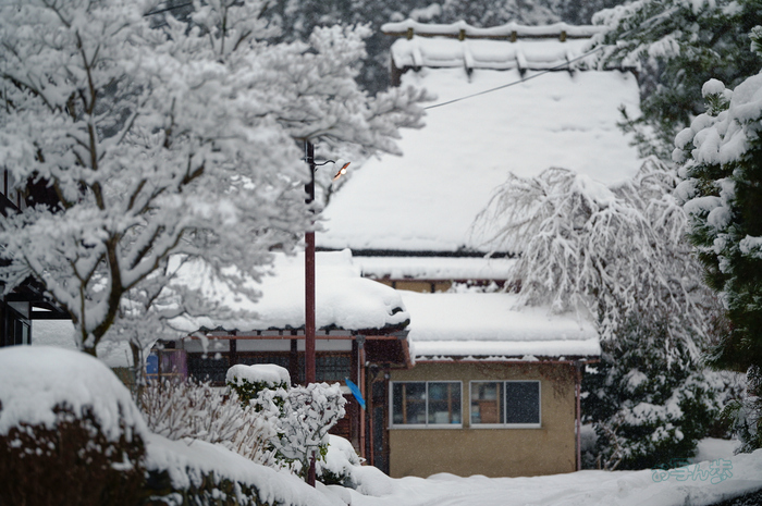 SDIM3085co,135 mm,F1.4,iso400(JPEG).jpg