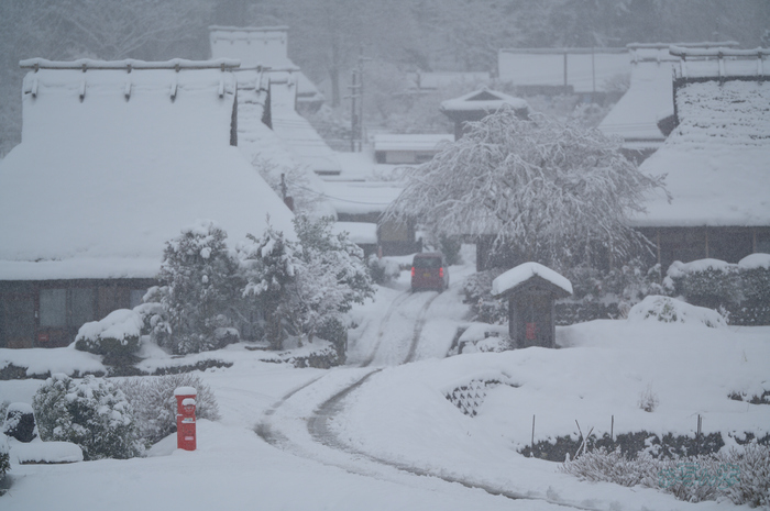 SDIM3094co,135 mm,F1.4,iso100(DNG).jpg