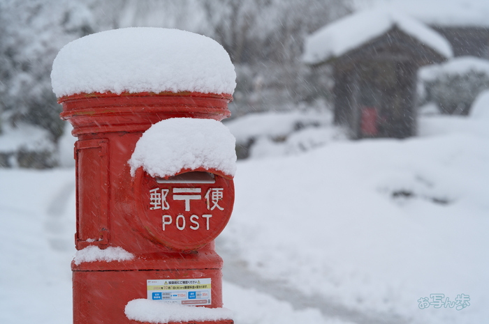 SDIM3112co,135 mm,F5.6,iso100(DNG).jpg