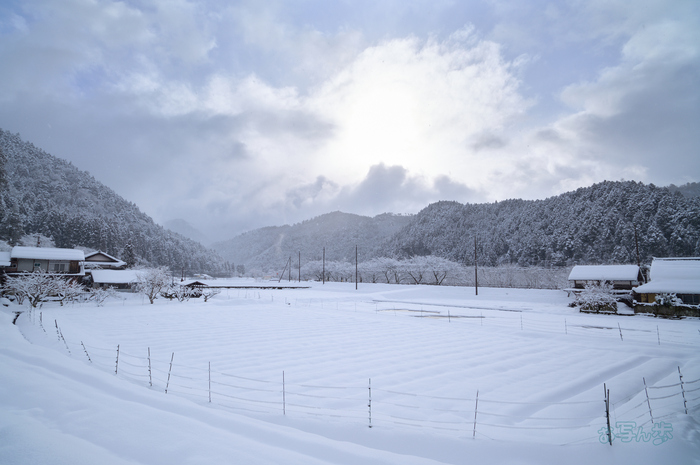 SDIM3142co,20 mm,F9,iso100(DNG).jpg