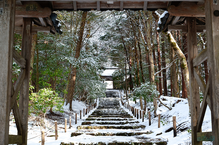 SDIM3235,59 mm,F9,iso400_1-60 秒(JPEG) 1.jpg