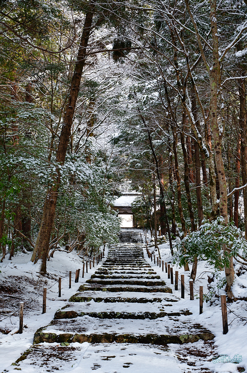 SDIM3241,52 mm,F9,iso200_1-50 秒(JPEG).jpg