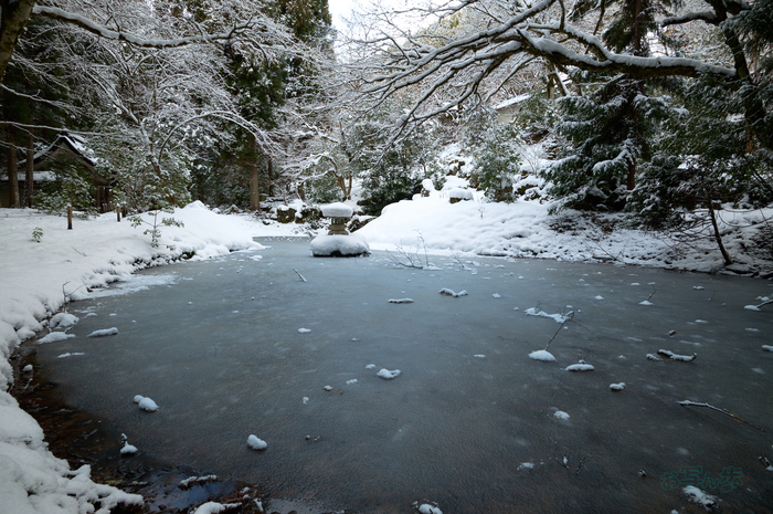 SDIM3274co,20 mm,F10,iso100(DNG).jpg