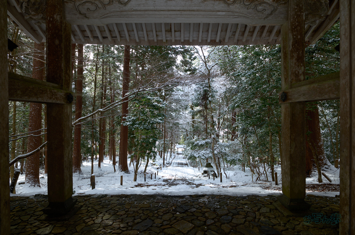 SDIM3289co,20 mm,F10,iso160(DNG).jpg